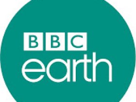 BBC EARTH - reyreyreys tv