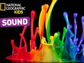 Nat Geo Kids Learn About Sound