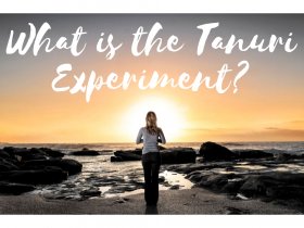 Tanuri Experiment Video Collection