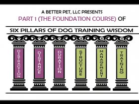 The Six Pillars of Dog Training Wisdom: 