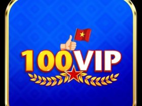 100vip