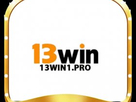13WIN1 pro