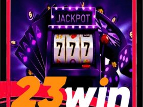 23winnhacai