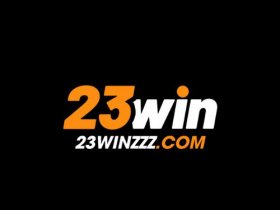 23winzzzcom