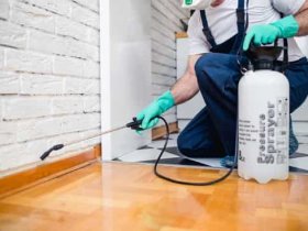 247 Pest Control Melbourne