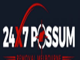 247 Possum Removal Melbourne