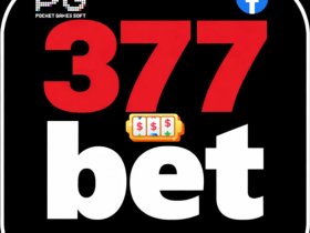 377bet Com