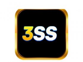 3ss