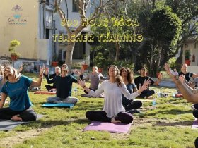 500 Hour Yoga Teacher Training