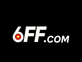 6FF Dev