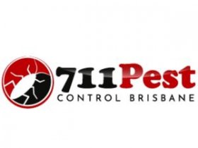 711 Bed Bugs Control Brisbane
