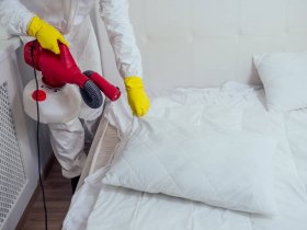 711 Bed Bugs Control Sydney