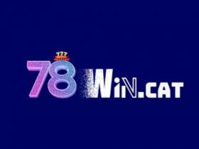 78wincat