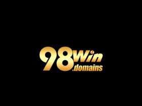 98windomains