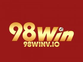 98winvio