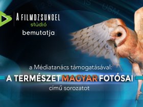 A természet magyar fotósai