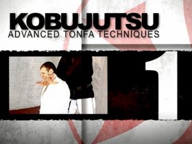 Advanced Tonfa Techniques
