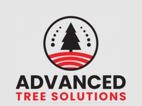 Advanced Tree Solutions