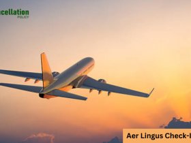 Aer Lingus Check In Policy