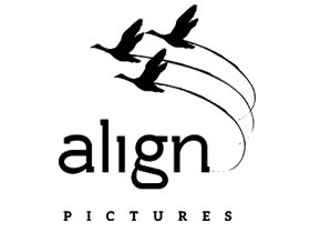 Align Pictures