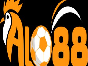 Alo88