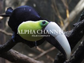 Alpha Channel Producciones / Ambiente