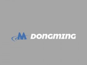 Anping Dongming Wiremesh Co.,Ltd