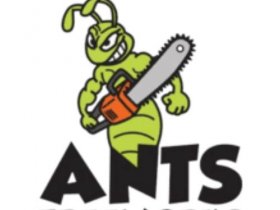 Ants tree works Pty. Ltd