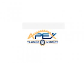 Apex Training