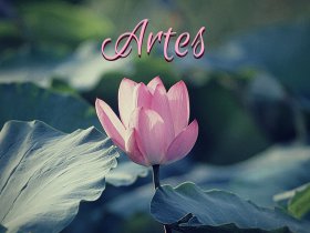 Artes / MTVC