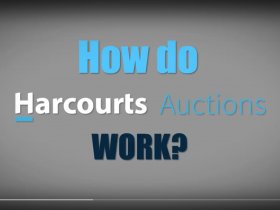 Auction Videos