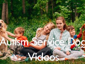 Autism Service Dog Videos