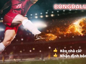 Bóng Đá Lu | Liverscore tỷ số trực tuyến