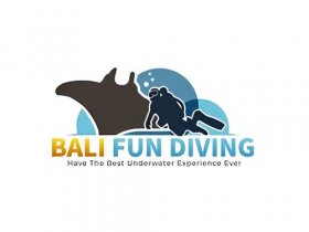 BALI FUN DIVING