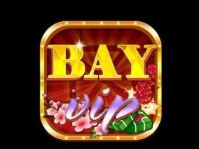 bayvipcam