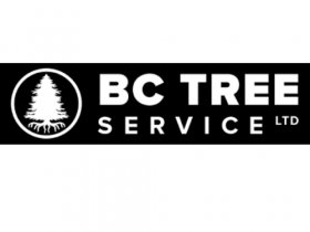 BC Tree Service