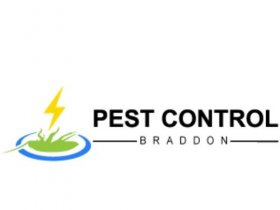 Bed Bug Control Braddon