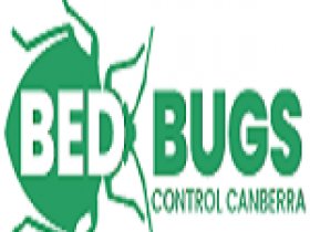 Bed Bugs Control Canberra