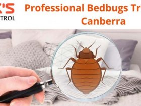 Bedbugs Control Canberra