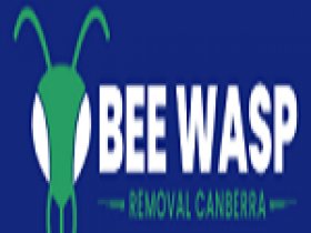 Bee Wasp Removal Canberra