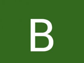 Bernicestelmore