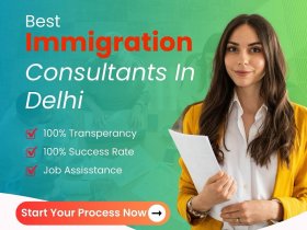 Best Immigration Consultants in Delhi