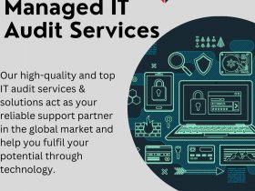 Best IT Audit Services Provider in India