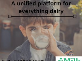 Best Milk Delivery App Canada