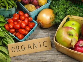 Best Organic Food
