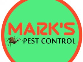 Best Pest Control Brisbane