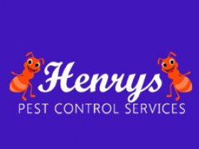 Best Pest Control Brisbane