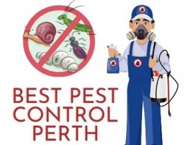 Best Pest Control Perth