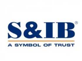 Best Security Company: S&IB Services