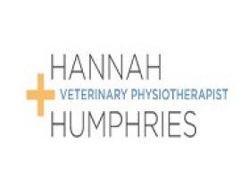 Best Veterinary Physiotherapy South Lond
